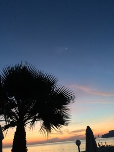 Venus und Jupiter am Morgenhimmel unter Palmen